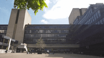 university GIF by UCL Institute of Education