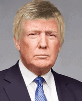 donald trump hair plugs GIF by marie claire Australia