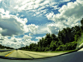 alysonregisdarugna northbound florida's turnpike GIF
