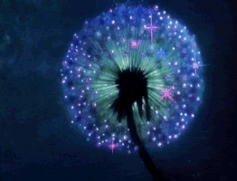marimoon  GIF
