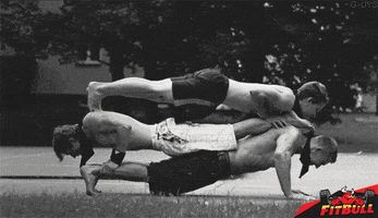 soner fitbull GIF