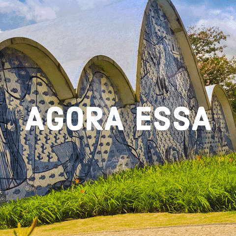 Transnorte  GIF