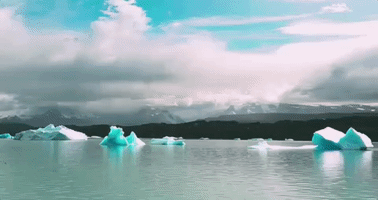 jesusleon  GIF