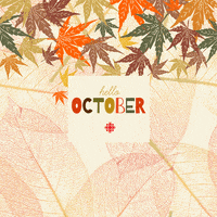 Fall Leaves GIF by CBC