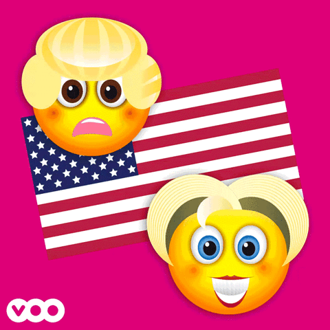 Donald Trump Ã©Lections GIF by VOO
