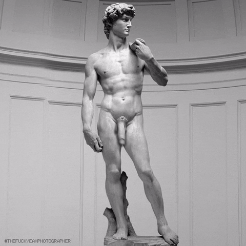 thefuckyeah david from michel angelo #mybeatifulgif GIF