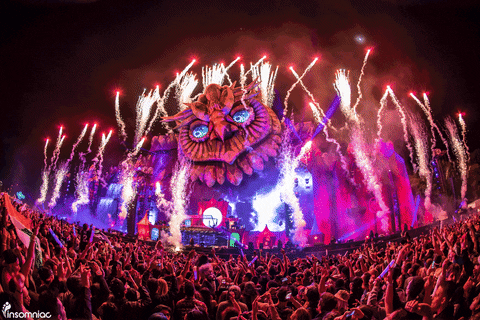Edcorlando GIFs - Get the best GIF on GIPHY