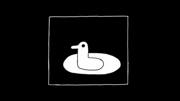 Duck Circling GIF by Daniela Sherer