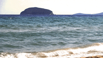 giorgossymeonidis  GIF