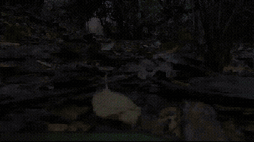 phoenixuk moat hollow remote drones. GIF