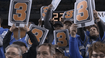 lions fans 3rd down town GIF by Detroit Lions