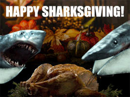 thanksgiving sharks GIF by SYFY
