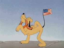 American Flag Dog GIF