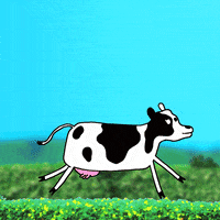 200.gif?cid=fc005b08b93c53724730be26c04c141055aee52d3fe129cc&rid=200.gif&ct=g