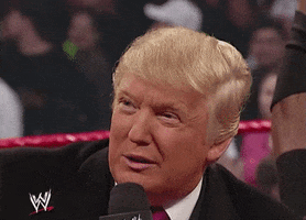 Donald Trump Wwe GIF by Election 2016