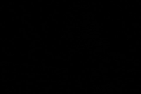 [Image: giphy.gif]