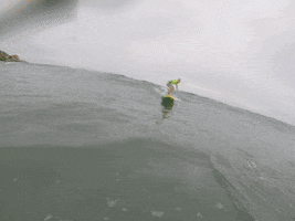 race  GIF