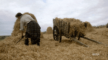season 1 hay GIF by Outlander