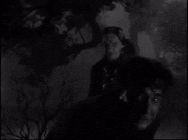 raineydawn gypsy wolfman wolf man lon chaney jr GIF