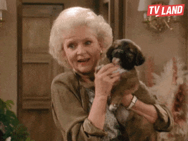 Golden Girls Dogs GIF by TV Land