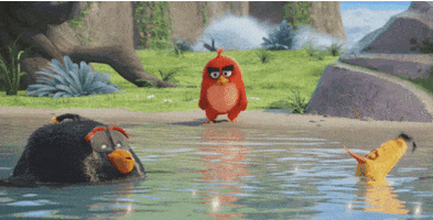 sony pictures trailer GIF by Angry Birds