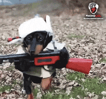 mindset  GIF
