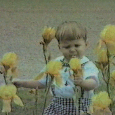 Gif of a white toddler boy in checked dungarees picking the head of a flower, but the momentum sends him staggering back onto his bottom. 