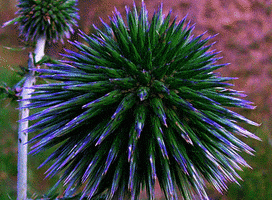 yxzpmjaxmdg1qgdtywlslmnvbq splinter GIF