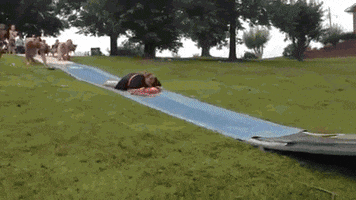 Fails GIFs - Get the best GIF on GIPHY