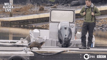 200.gif?cid=fc005b08ea86506238c64b3b9b16a7ebb6f2b2ec8298d33d&rid=200.gif&ct=g