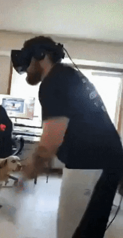 Dog GIF