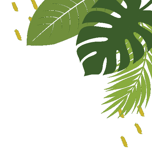 Marco Hojas Sticker by Nicopoly