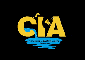cia_more_adventures GIF