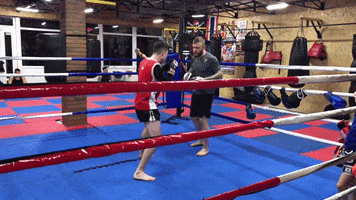 Champion GIF