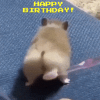 Happy Birthday My Prince Gifs Get The Best Gif On Giphy