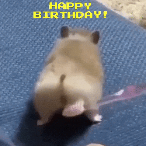 Cute Happy Birthday Gifs Get The Best Gif On Giphy