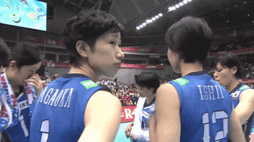 Lets Go Game GIF by Volleyball World