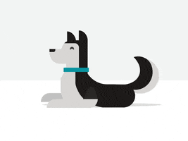 Dog GIF
