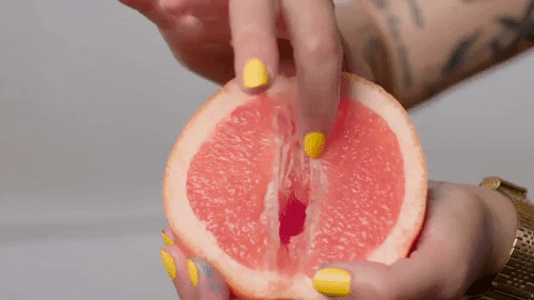 giphy.gif?cid=6c09b952c11fal7bupgo1zplifsz9bpvgr554zghkmjy2txr&rid=giphy.gif