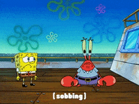 Season 3 Club Spongebob GIF by SpongeBob SquarePants - Find