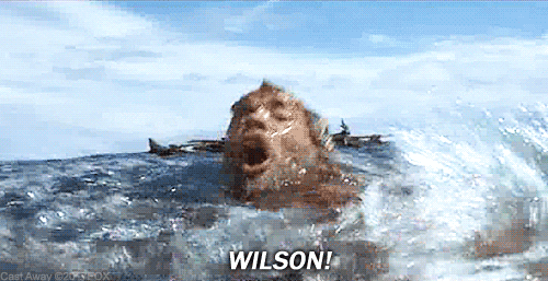 Wilson meme gif