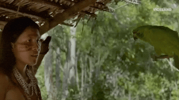Viceland GIF by Earthworks