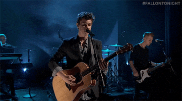 shawn mendes GIF by The Tonight Show Starring Jimmy Fallon
