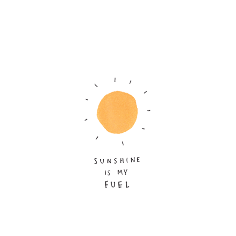 sunflowersunshine sunshine fuel sunflower sunshine need sunshine GIF