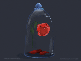 beauty and the beast rose GIF by Ordinary Nadee