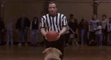 air bud GIF