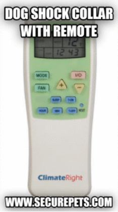 securepets dog shock collar with remote GIF