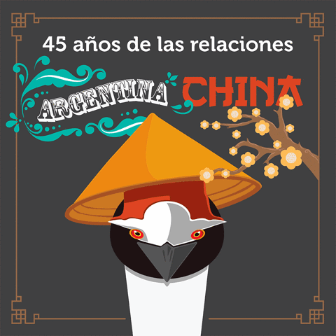 FARNARGENTINA argentina china patagonia ambiente GIF