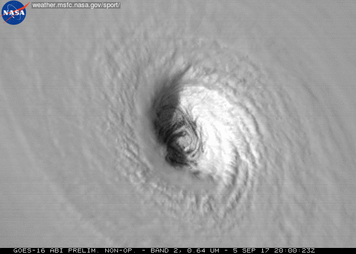 Image result for Hurricane gif