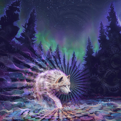 simonhaiduk dog rainbow trippy psychedelic GIF